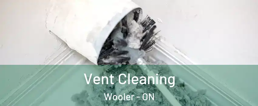  Vent Cleaning Wooler - ON