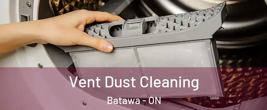  Vent Dust Cleaning Batawa - ON