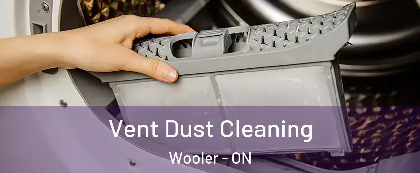  Vent Dust Cleaning Wooler - ON