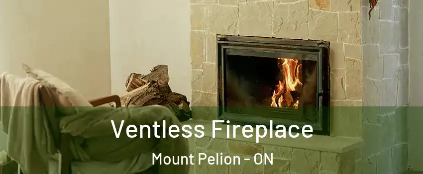  Ventless Fireplace Mount Pelion - ON