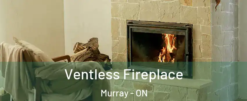  Ventless Fireplace Murray - ON