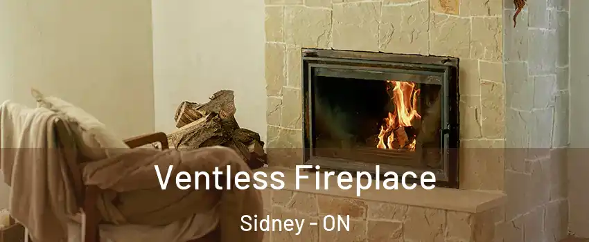  Ventless Fireplace Sidney - ON