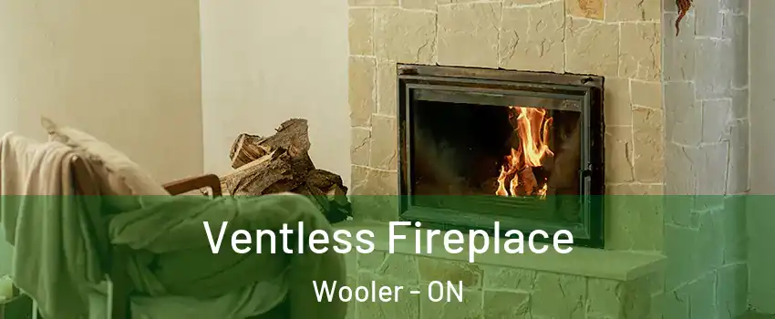  Ventless Fireplace Wooler - ON