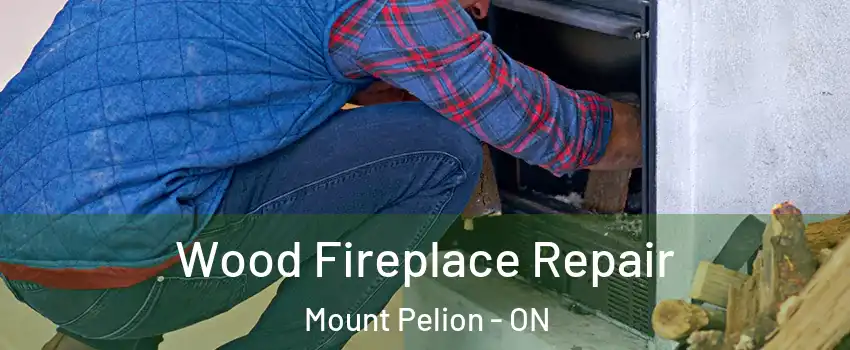  Wood Fireplace Repair Mount Pelion - ON