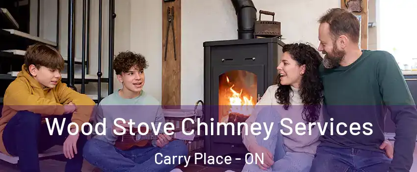  Wood Stove Chimney Services Carry Place - ON