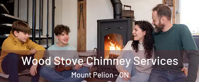  Wood Stove Chimney Services Mount Pelion - ON