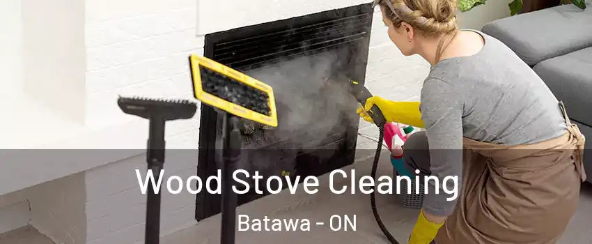  Wood Stove Cleaning Batawa - ON