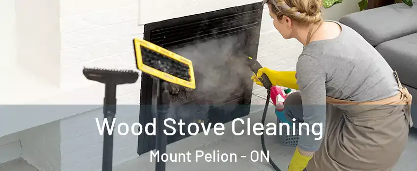  Wood Stove Cleaning Mount Pelion - ON