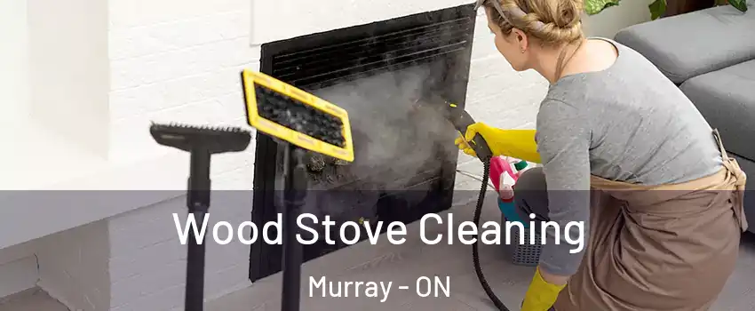  Wood Stove Cleaning Murray - ON