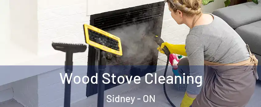  Wood Stove Cleaning Sidney - ON