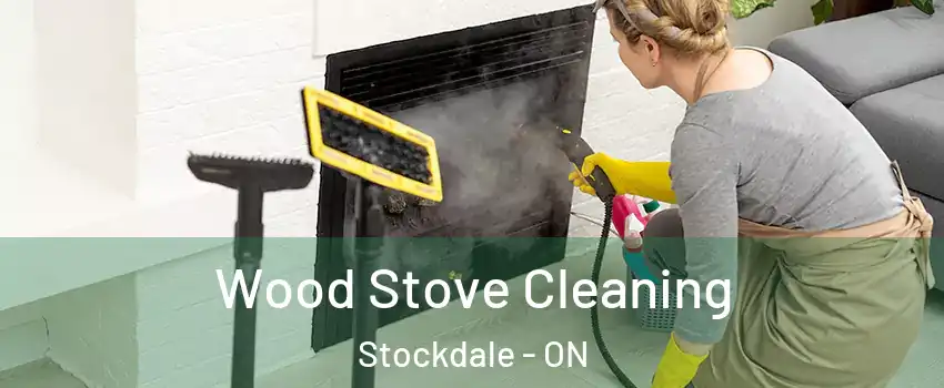  Wood Stove Cleaning Stockdale - ON