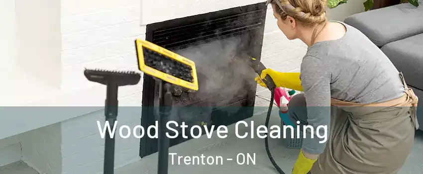  Wood Stove Cleaning Trenton - ON