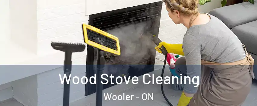  Wood Stove Cleaning Wooler - ON