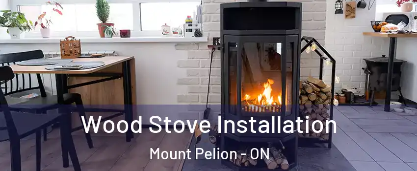  Wood Stove Installation Mount Pelion - ON