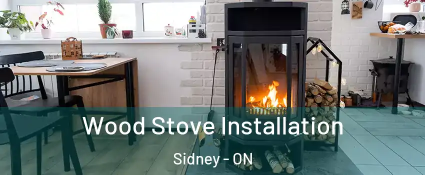  Wood Stove Installation Sidney - ON